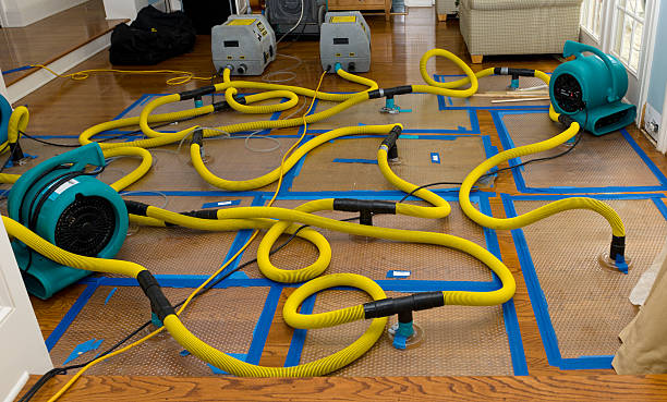 Professional Crawl Space Water Removal technician working in Glouster, OH